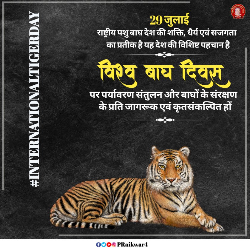 PRaikwar4's tweet photo. "बाघ हमारा राष्ट्रीय पशु ही नहीं, हमारी धरोहर भी है"

आइये आज अंतर्राष्ट्रीय बाघ दिवस पर हम सभी बाघों के संरक्षण एवं संवर्धन का संकल्प लें तथा जनमानस में इसके प्रति जागरूकता फैलाएं।
 #InternationalTigerDay https://t.co/WmkM8Twd3z
