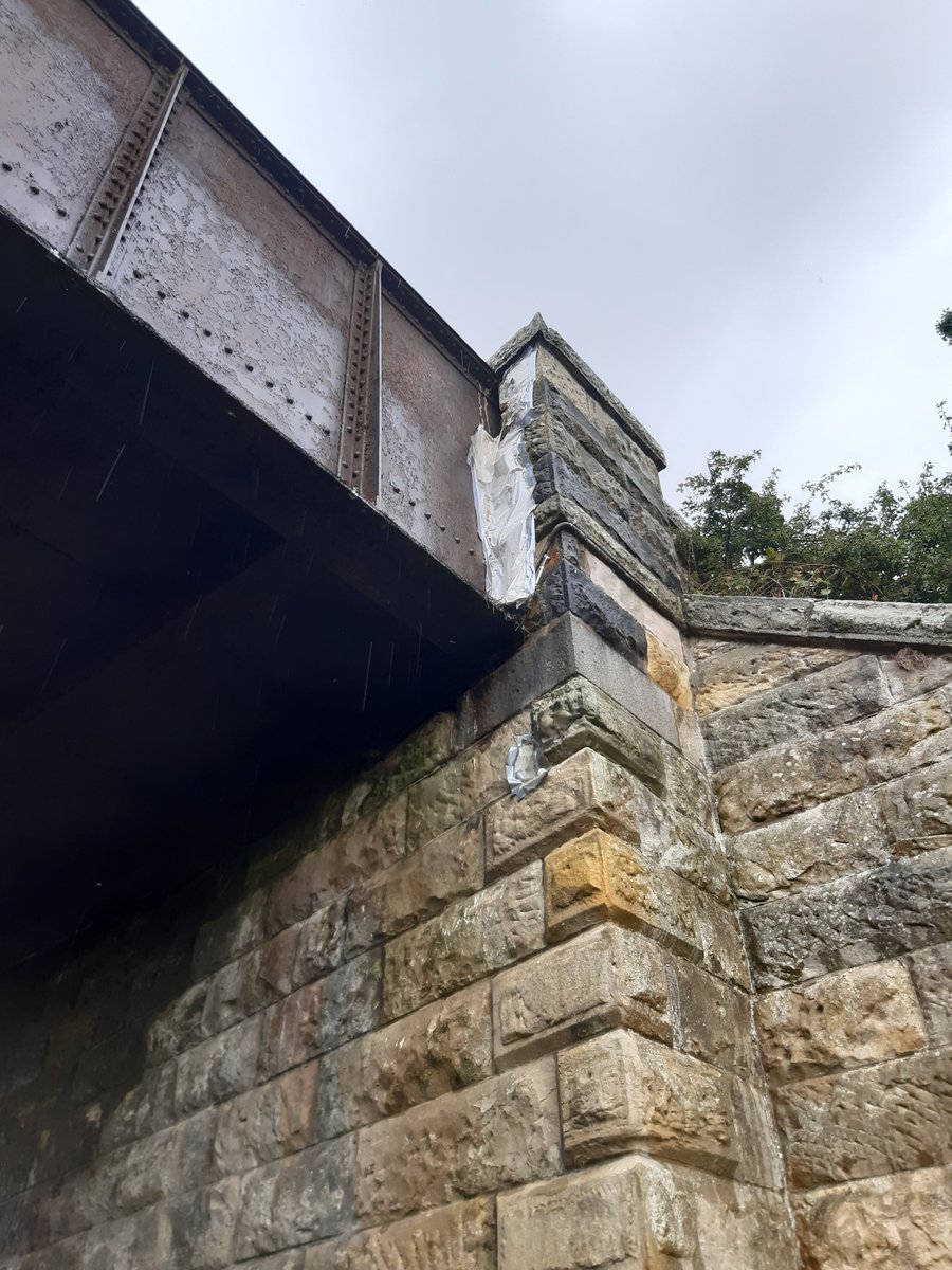 Drem-Gullane Path Campaign (@dgcorepath) on Twitter photo On yesterday's cycle, confronted by a shocking sight under Fenton bridge, near Gullane.
A dead Jackdaw trapped in netting placed under bridge. Other nesting sites blocked too. Why?
Is <a href="/ELCouncil/">East Lothian Council - news and information</a> roads department responsible for this bridge? On yesterday's cycle, confronted by a shocking sight under Fenton bridge, near Gullane.
A dead Jackdaw trapped in netting placed under bridge. Other nesting sites blocked too. Why?
Is <a href="/ELCouncil/">East Lothian Council - news and information</a> roads department responsible for this bridge?