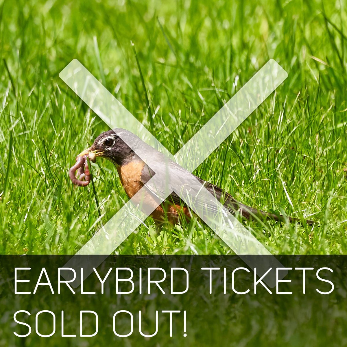 TechExeter's tweet image. Eek, we've sold out of our early bird tickets for this year's conference! 🐤❌
We're running with a reduced upper capacity this year, so make sure you grab yourself a ticket! 🏃‍♀️🏃‍♂️

Speaker pages will start being published this Sunday.

conference.techexeter.uk