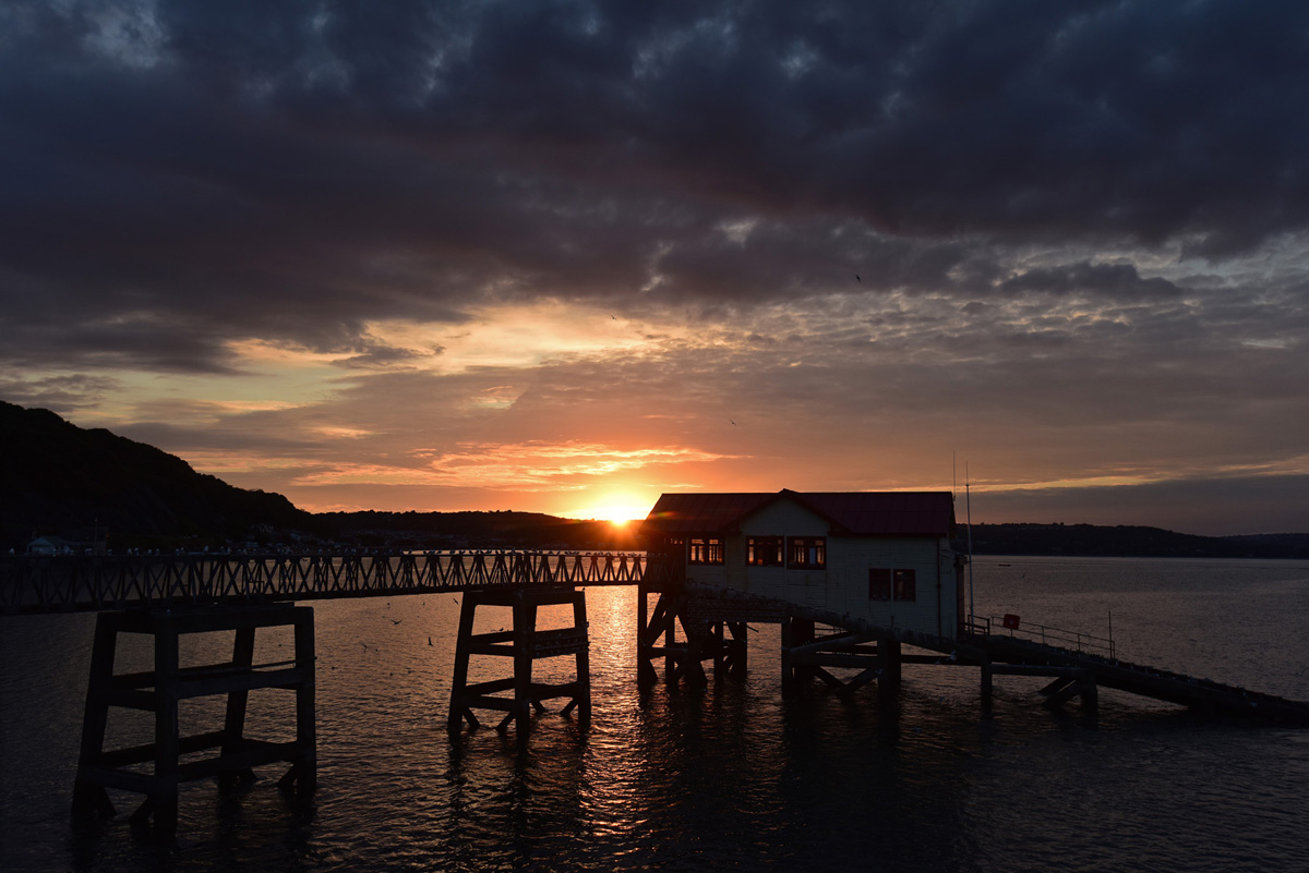 Anthony Dyke tweet media