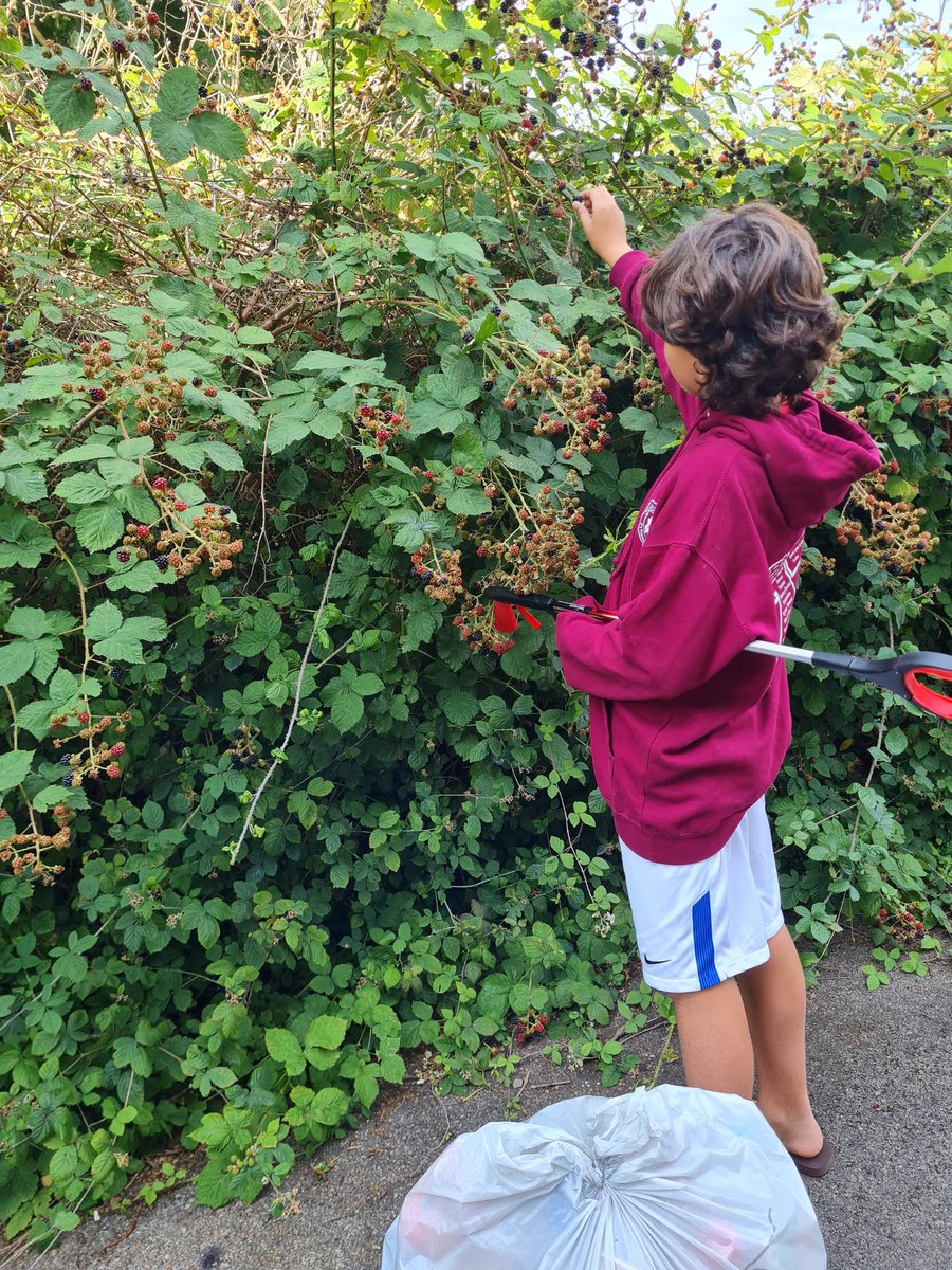 LKickers's tweet photo. Early morning picking - litter and #blackberries! Plus a 30-second challenge down can alley. Setting the bar high - 11 items is the number to beat! Any #LitterHeroes up for the challenge? #30SecondChallenge https://t.co/DxE5GdxARk