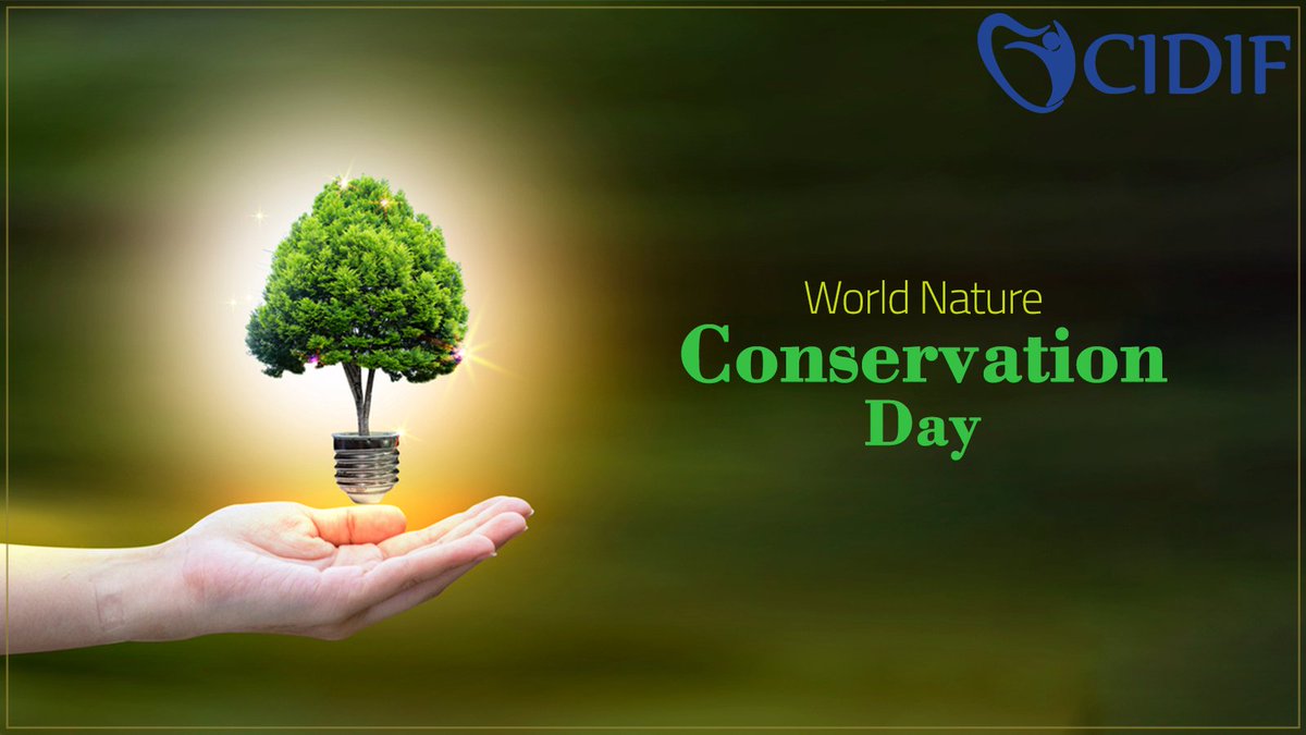 _CIDIF's tweet photo. A Single tree provides protection from harsh sunlight and rain.
#Conserve #nature, Our combined resolution can change the future of coming generations.
#cidif #CIODigitalfoundation #WorldNatureConservationDay #worldnatureconservationday2022 https://t.co/BHIdk6yfvg