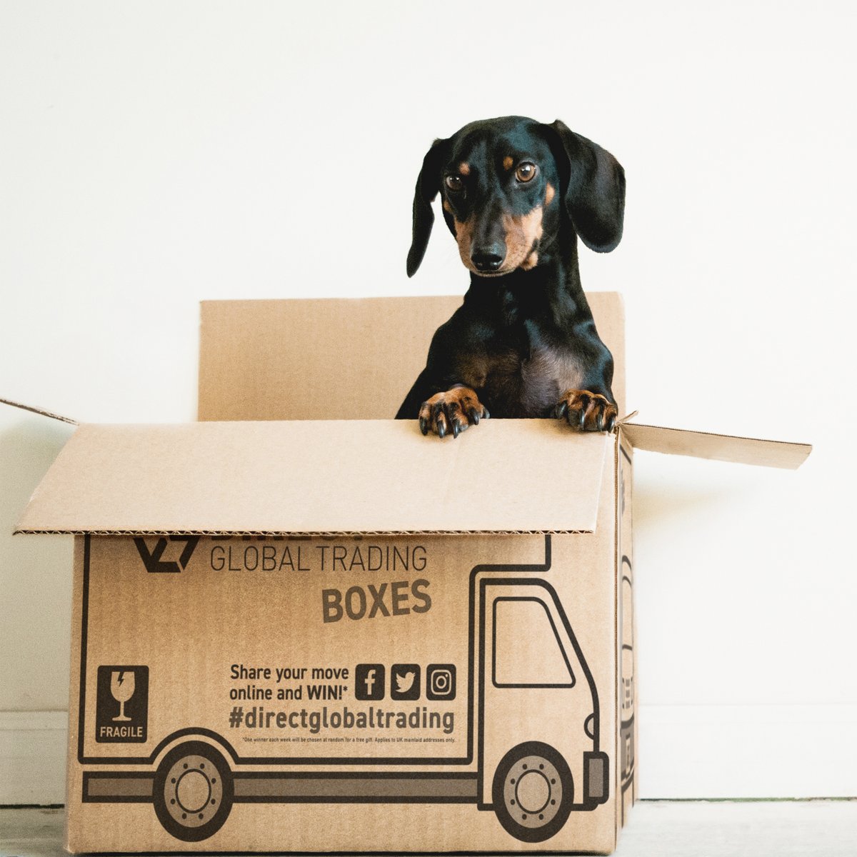 Direct Global Trading Boxes tweet media