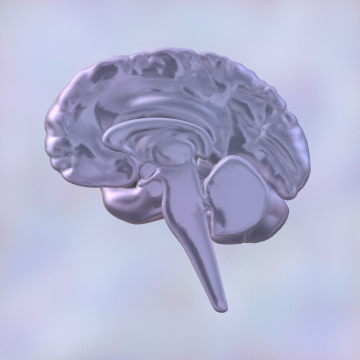 BHTheory1's tweet photo. Check out this item on OpenSea https://t.co/AtjuDPyTf7 via @opensea https://t.co/iwZ3nlnmog