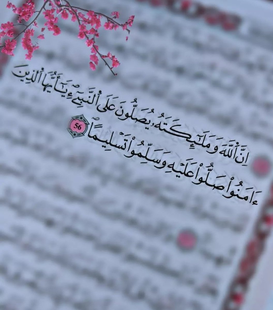 محمد ..🏹 tweet media