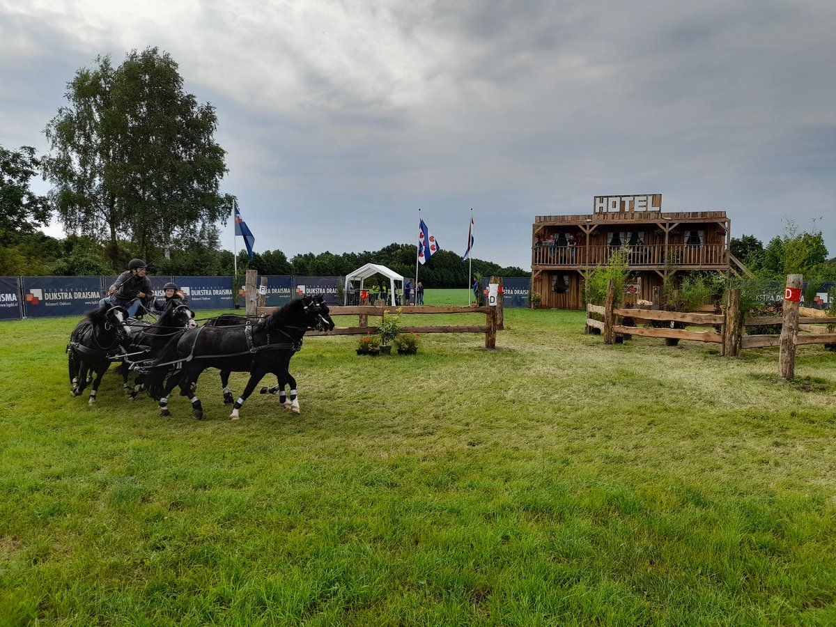 Fekânsje yn Fryslân. #paardendagen yn Driezum-Walterswâld.