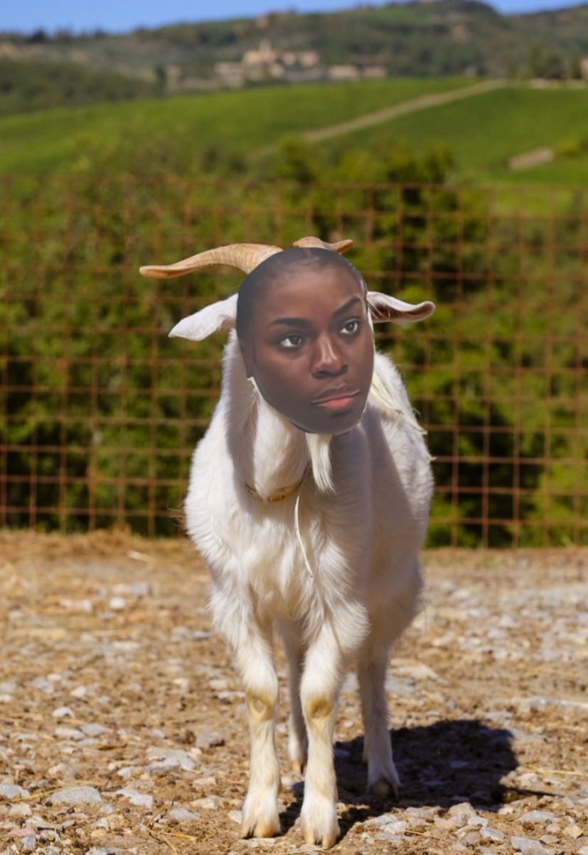 kortiess's tweet photo. Good morning to our GOAT🤩🤩🤩 @korty_EO https://t.co/XHNkmiwlJA