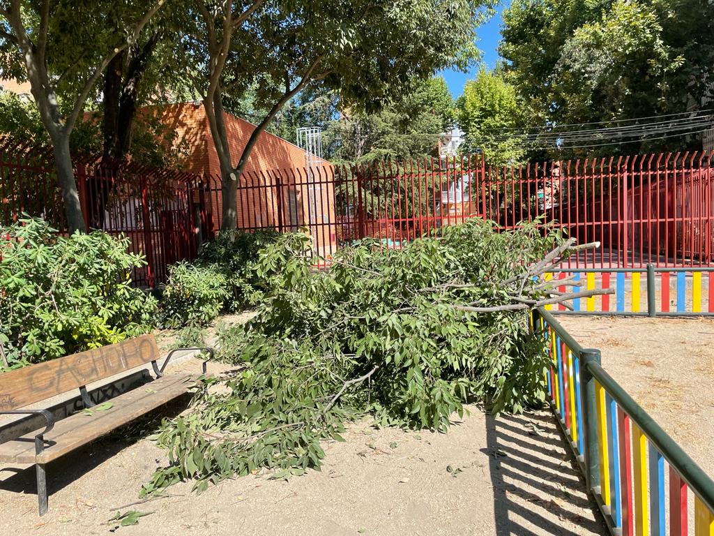 Nos pasan fotos de podas en la colonia Parque Eugenia de Montijo en #Carabanchel que lleva <a href="/FCC_Group/">FCC</a> , NO SE PODA EN VERANO, los arboles se debilitan, perdemos sombra, refugio de aves, etc <a href="/JMDCarabanchel/">Distrito de Carabanchel</a> <a href="/EeAmadrid/">Ecologistas Madrid</a> <a href="/ARBAlavieja/">@arba</a> <a href="/arribalasramas/">ARRIBA LAS RAMAS</a> <a href="/rosapinkes/">Rosa Villalba Fernandez</a>