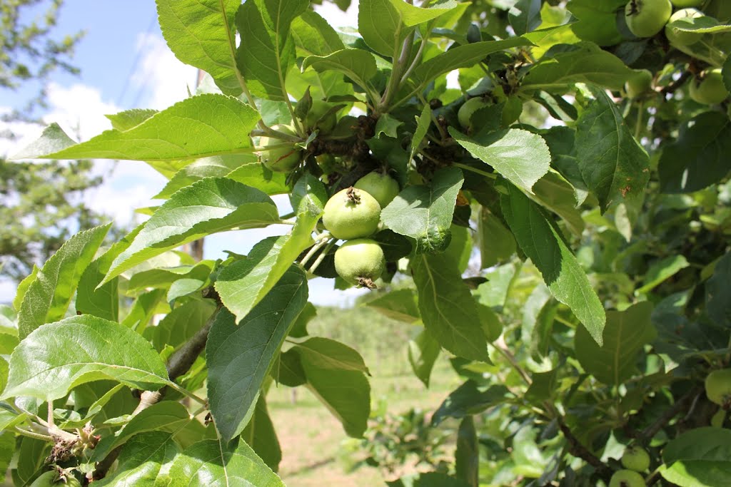 ❣️❣️❣️ #findesemana último de #julio en la #Comarcadelasidra tenemos de todo: #Musica #Teatro #mercadillos #festival #rutas Echa un 🧐🧐a nuestra #agenda lacomarcadelasidra.com
NO TE PUEDES QUEDAR EN CASA🙌🙌 ya no más‼️‼️ #Asturias #vacaciones #Verano2022 <a href="/TurismoAsturias/">TurismoAsturias</a>