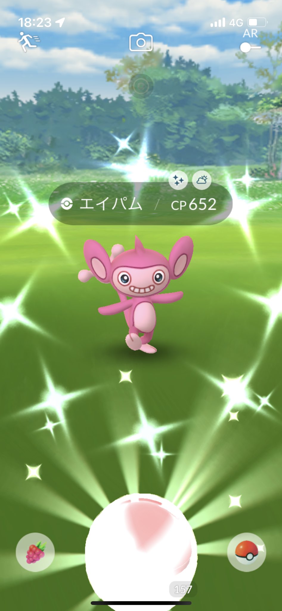 みち うおおおおお ポケモンgo色違い旅始まって以来記念すべき1匹目の色違いはエイパムでした 色旅2日目で出てくれて順調 T Co Eounmylpxa Twitter