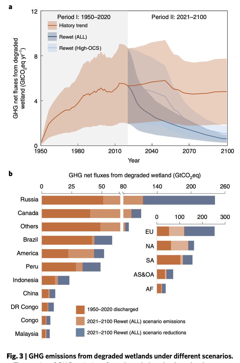 Philippe.ciais (@ciais_philippe) on Twitter photo 🚨Rewetting global #wetlands effectively reduces major #greenhouse gas emissions <a href="/gcarbonproject/">GlobalCarbonProject</a> @PeatlandECR <a href="/peatconnections/">PeatlandConnections</a> <a href="/ipspeatlands/">International Peatland Society</a> <a href="/IPSL_outreach/">IPSL 🌍</a> @Abel_galois 🚨Rewetting global #wetlands effectively reduces major #greenhouse gas emissions <a href="/gcarbonproject/">GlobalCarbonProject</a> @PeatlandECR <a href="/peatconnections/">PeatlandConnections</a> <a href="/ipspeatlands/">International Peatland Society</a> <a href="/IPSL_outreach/">IPSL 🌍</a> @Abel_galois