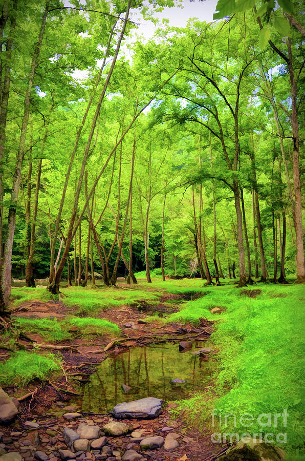 KerriFar's tweet photo. "no matter where we go or how widely we wander we shall yet be drawn back to the forest to find our most enduring kinship.”  L.M. Montgomery  https://t.co/C7STRrj1LJ ~ #PipestemWV #WVViews - https://t.co/PSz2SRMFN9 - #NewRiverNature  #InTheForest #PipestemStatePark https://t.co/mowVmbH3BK