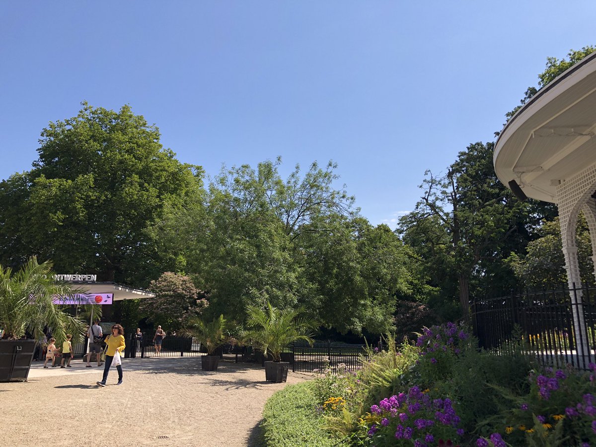 Bert_VdA's tweet photo. Het instituut. Uitstapje naar @zooantwerpen! #Antwerpen #Zoo #tStad https://t.co/wWSFb0LIxp