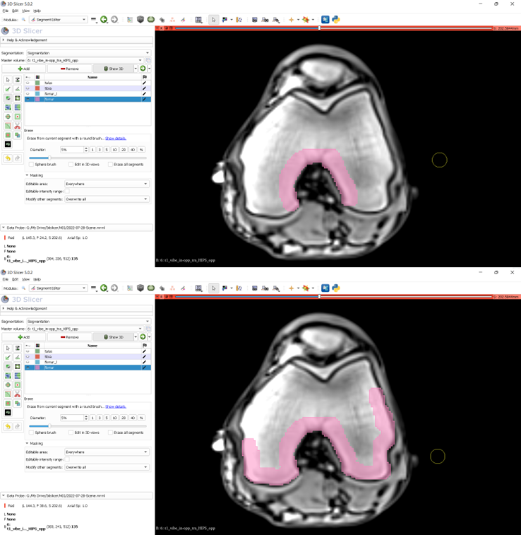 Erica Montefiori tweet media