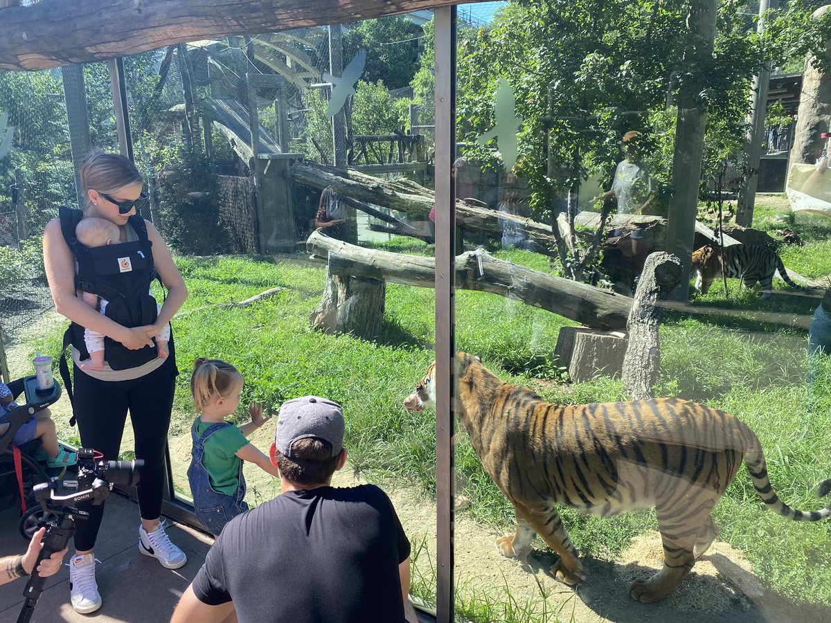 x-Cleveland Monsters tweet media