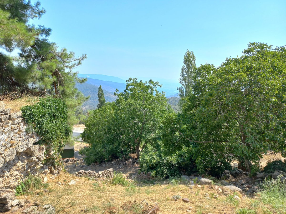 #Milas Kaymakamı Mustafa Bey ve Lyon 2 Üniversitesi ve İstanbul Üniversitesi ekipleri ile birlikte #Labranda kazılarını geziyoruz. İpek Hanım ve Olivier Bey’e teşekkür ederiz. 

<a href="/TCMilasKaymakam/">Milas Kaymakamlığı</a>