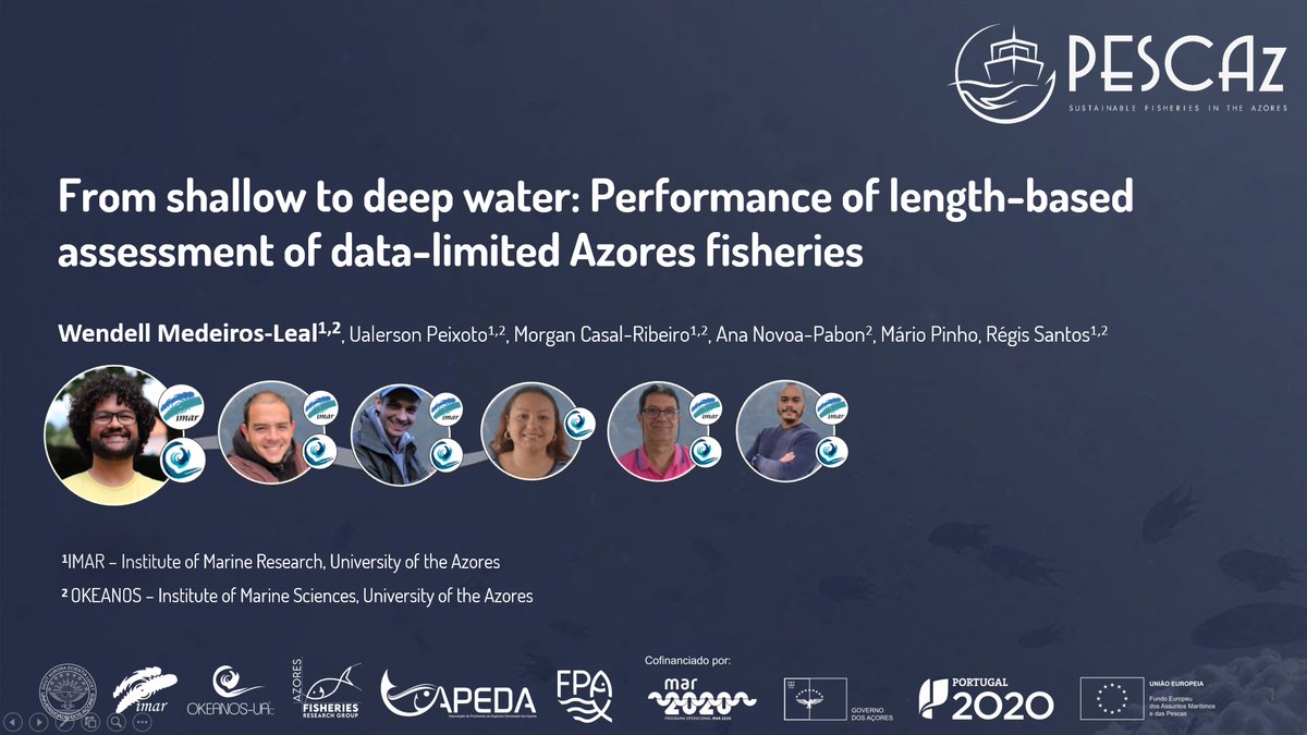 Wendell Medeiros 🎣 tweet media