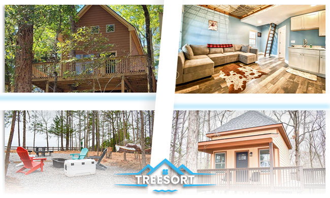 TSortsc's tweet photo. Treehouse Family Vacation in SC - Treesortsc https://t.co/1dPMwR89YK via @YouTube
#YouTube
#Treesortsc #Treehouse #SouthCarolina
#VacationRental #travel #realestate
#Vacation #Property #PropertyOwner #Holidays #holidaymode #vacationmode
#airbnb #VRBookingsStats #treesort https://t.co/EwIHeXZlPW