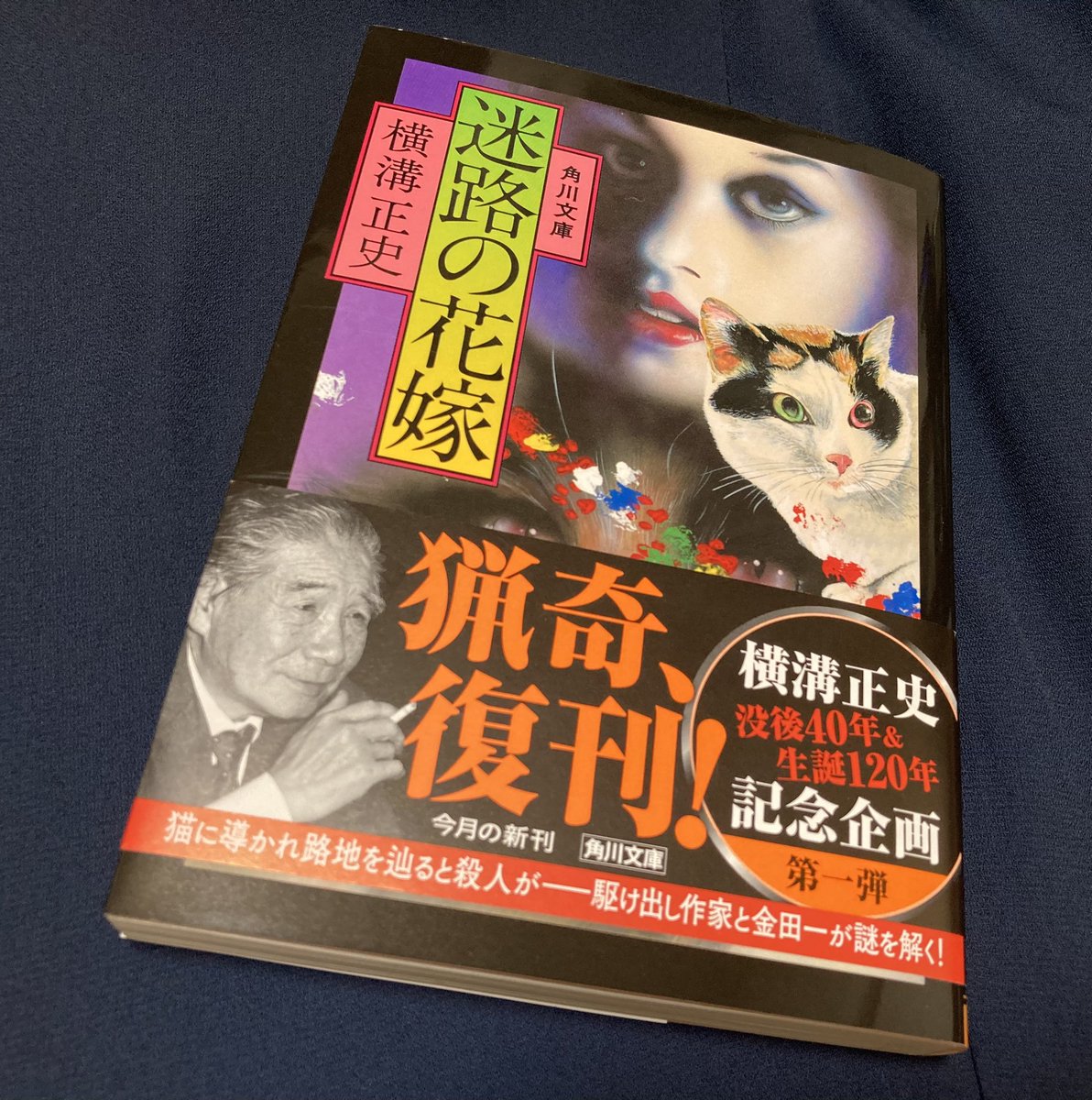 A子 迷路の花嫁 横溝正史 読了 再読でした 金田一耕助シリーズでもちょっと雰囲気がいつもと違う 一度目の時はんんっ どういう話 ってなったけど段々と紐解かれてく過程が面白い 千代吉 蝶太 瑞枝の雰囲気がとても好き 愛おしい こういう