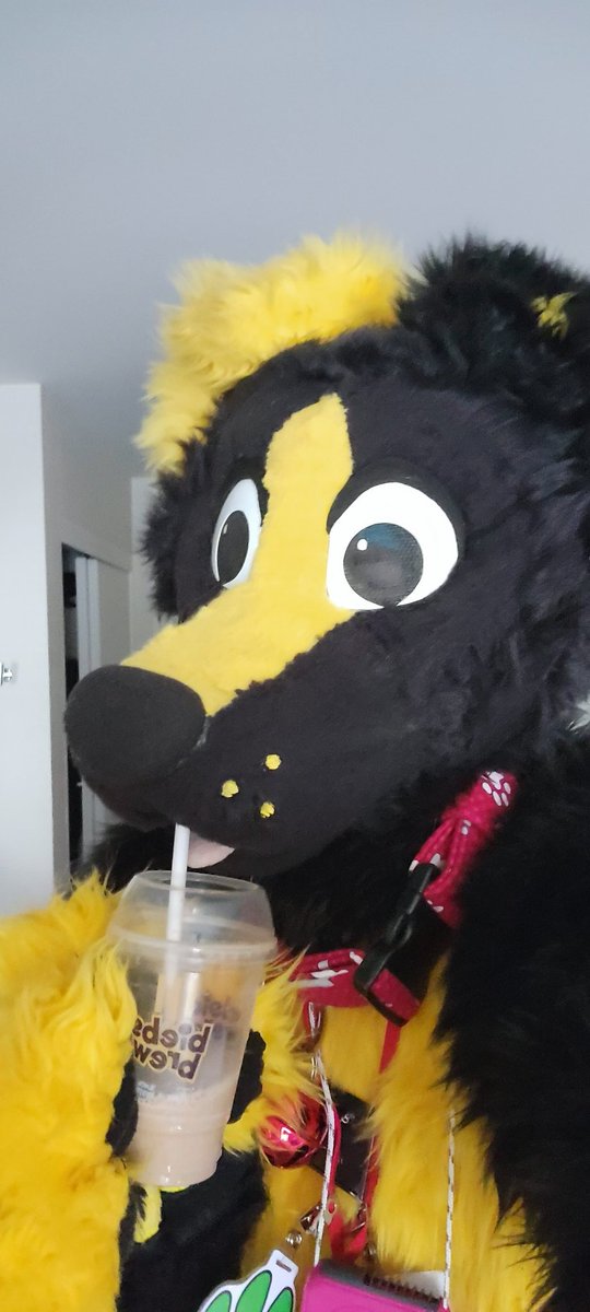 Fueling up and preparing to bounce around! Bark bark!