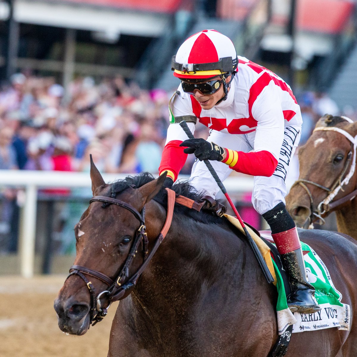 PimlicoRC's tweet image. Early Voting is set to start in his first race since winning #Preakness147. Good luck in the Jim Dandy, Champ!