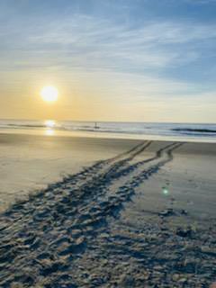 FOHISC's tweet image. Introducing….

N e s t  170 ⭐️☀️⭐️☀️

#beyondamazing
#HuntingIsland