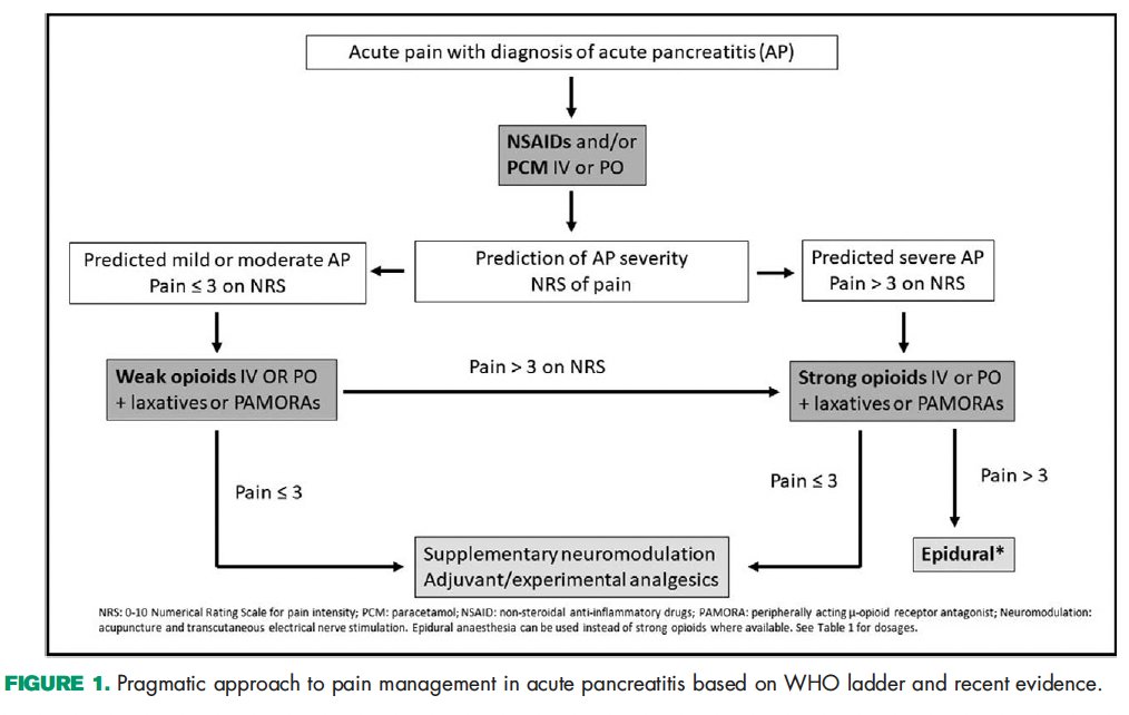Sanjay Pandanaboyana (@sanjay_hpb) on Twitter photo Review of pain management in AP
Tailor treatment to each patient
Assess pain intensity and pancreatitis severity when selecting analgesic
A step-down approach: option in severe AP
Use opioid sparing strategies if possible
<a href="/AsbjornDrewes/">Asbjørn Mohr Drewes</a> <a href="/jwindsor3/">John A Windsor</a> bit.ly/3Jd5dQk Review of pain management in AP
Tailor treatment to each patient
Assess pain intensity and pancreatitis severity when selecting analgesic
A step-down approach: option in severe AP
Use opioid sparing strategies if possible
<a href="/AsbjornDrewes/">Asbjørn Mohr Drewes</a> <a href="/jwindsor3/">John A Windsor</a> bit.ly/3Jd5dQk