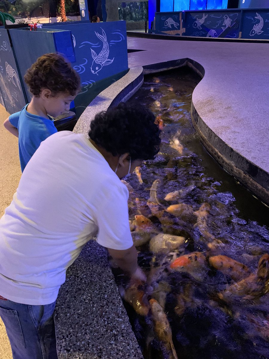 Mrs. Wanko tweet media