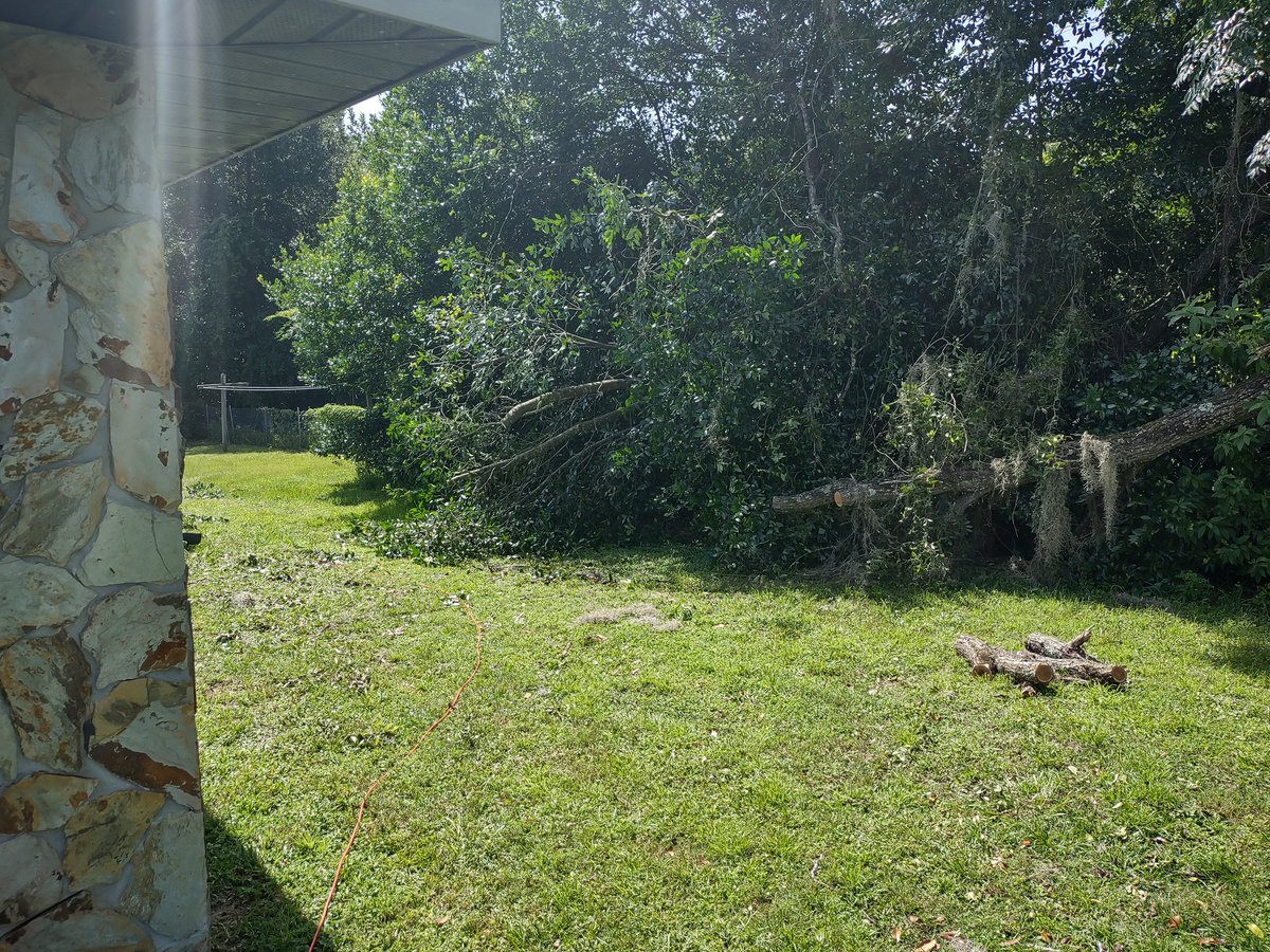 Jynxd1_OG's tweet photo. Couple more hours I should have the deadfall from last storm cleared from side of house.. #countryboyproblems https://t.co/Zoy6AwQb8j