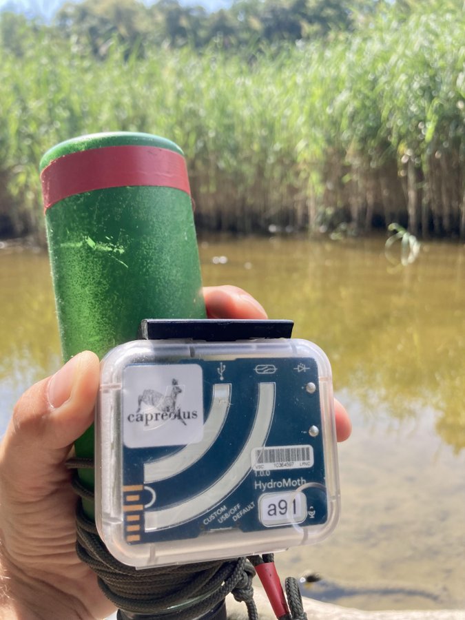 Hand holding a hydromoth device in front of a freshwater pond.