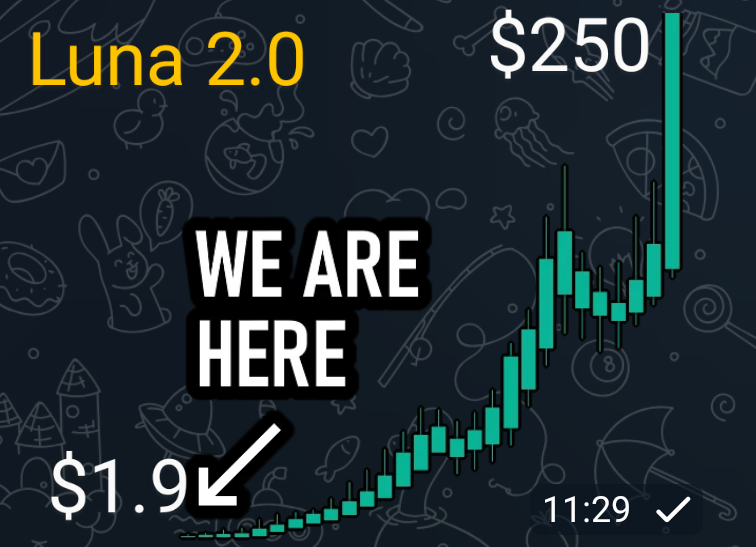 xcho_frastyo's tweet photo. #Luna 2.0 super bullish💹💹💹🚀🚀🚀💸💸💸💸💦 https://t.co/M7gMXrcTai