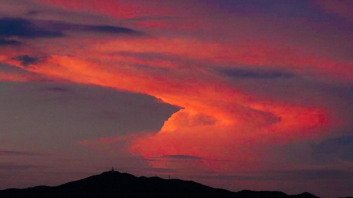 kasokukitearoom's tweet photo. .
鮮やかな
かなとこ雲
.
撮影 2022年7月29日 19:04
.
#7月 #夏 #雲 #夕焼け #夕空 #天気の図鑑 #雲の教室 #雲を愛する技術 #イマソラ #キリトリセカイ #写真 #空 #金曜日 #a2022 #a202207 #a0729 #a20220729 https://t.co/GsPdu0oqoK