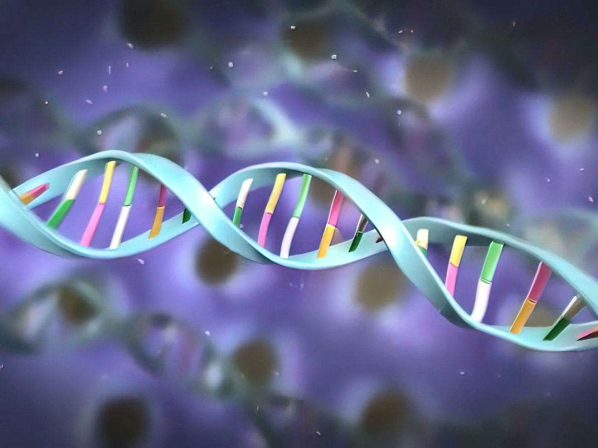 An accurate diagnosis can help ensure the best treatment for rare brain and spinal cord tumors. @NCIResearchCtr's Dr. Zied Abdullaev explains how patterns of chemical methyl marks on the DNA of cancer cells can help classify #RareCNSTumors more precisely. cancer.gov/rare-brain-spi…
