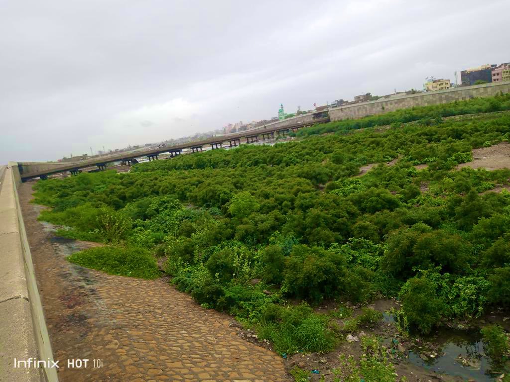 Taimur Talpur tweet media