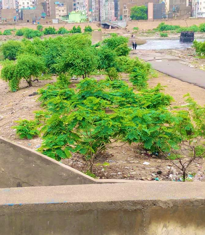 Taimur Talpur tweet media