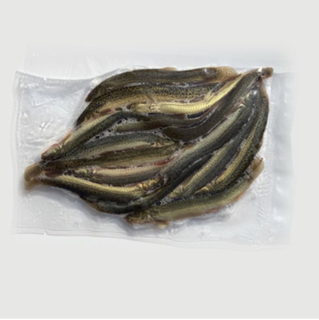☆モニターキャンペーン☆

新商品『エサ用真空バラ冷凍きびなご500g』と冷凍どじょう100gをセットで10名様にプレゼント！

☆応募資格:どじょうの大河を
                    フォロー&amp;リツイート
☆応募期限:８月7日
☆発送:8月中旬

商品説明
dojou-ookawa.com/products/detai…

ご応募お待ちしております！
