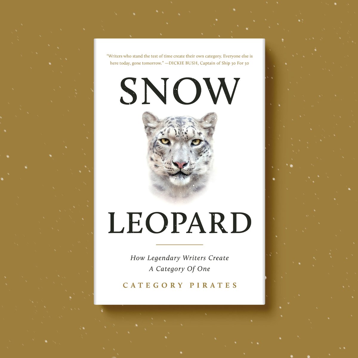 snow-leopard-by-category-pirates-is-officially-live-why-legendary