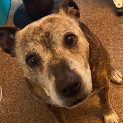 PorthosStaffy's tweet photo. #NewProfilePic https://t.co/xMEZ9RQGli