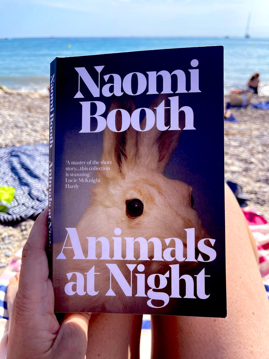 🐇 Belting beach read. So glad I saved it ☀️ @NaomiBooth #AnimalsatNight #amreading #beachreading @DeadInkBooks