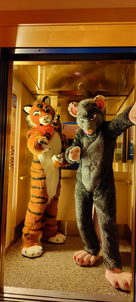 Always room for one more in the elevator! Wanna join Tiberius and Ozzie on #FursuitFriday? We're harmless, big tiger and possum promise!

📷 at #EAST10 by <a href="/Laimika/">Laimika</a> 
🪡 <a href="/AlphaDogsStudio/">Alpha Dogs</a>