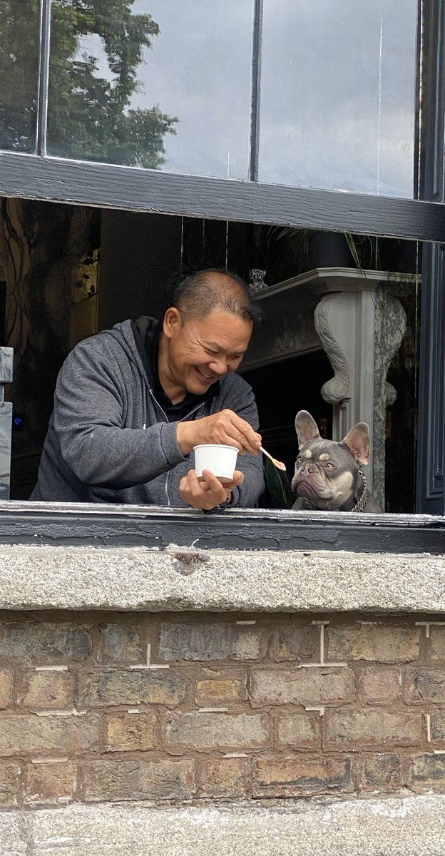 Iconic Offices tweet media