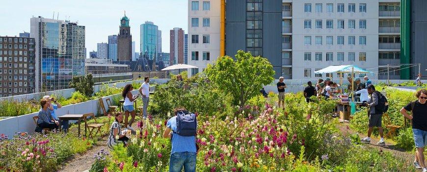 "Groen wordt steeds belangrijker voor steden"- <a href="/NatureTodayNL/">NatureTodayNL</a> "De aandacht van steden en rijksoverheid voor groen in de woonomgeving is de afgelopen jaren toegenomen".  #gezondheid #groen #steden #klimaat #corona #biodiversiteit #koelte #welzijn
naturetoday.com/intl/nl/nature…