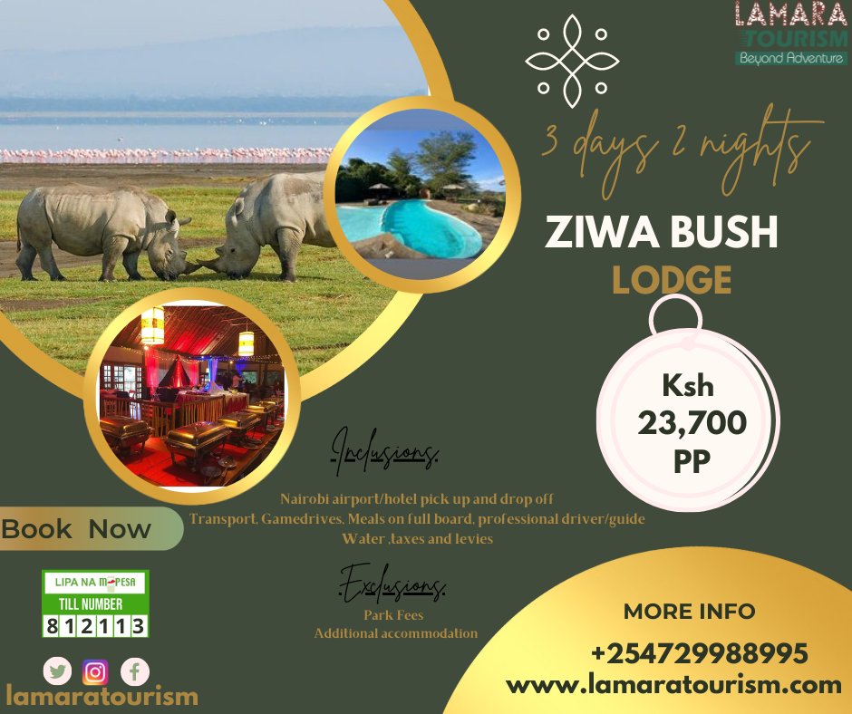 LamaraTourism's tweet photo. Enjoy 3 days 2 nights staycation at Ziwa Bush Lodge with Ksh 23,700 only per person.
Contact us for Booking at this hidden gem
+254729988995๐
#thika #lamaratourism #beyondadventure https://t.co/KPIEm4JZgh