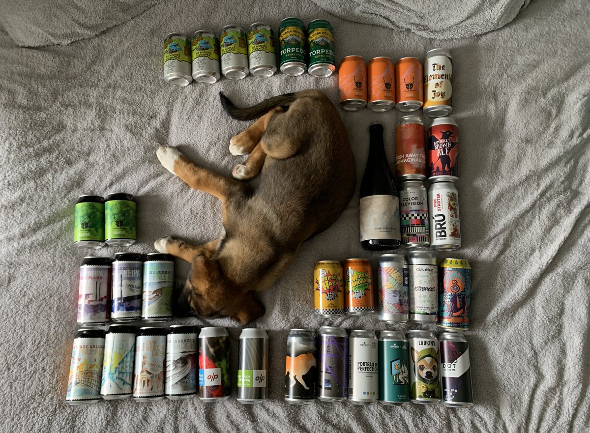 Craig Kearney tweet media