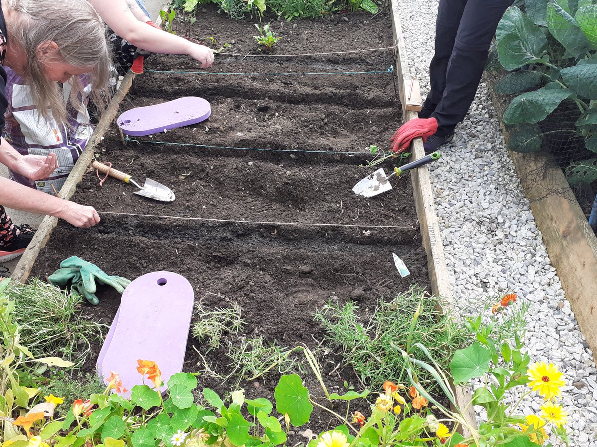 Sacro Garden Project tweet media