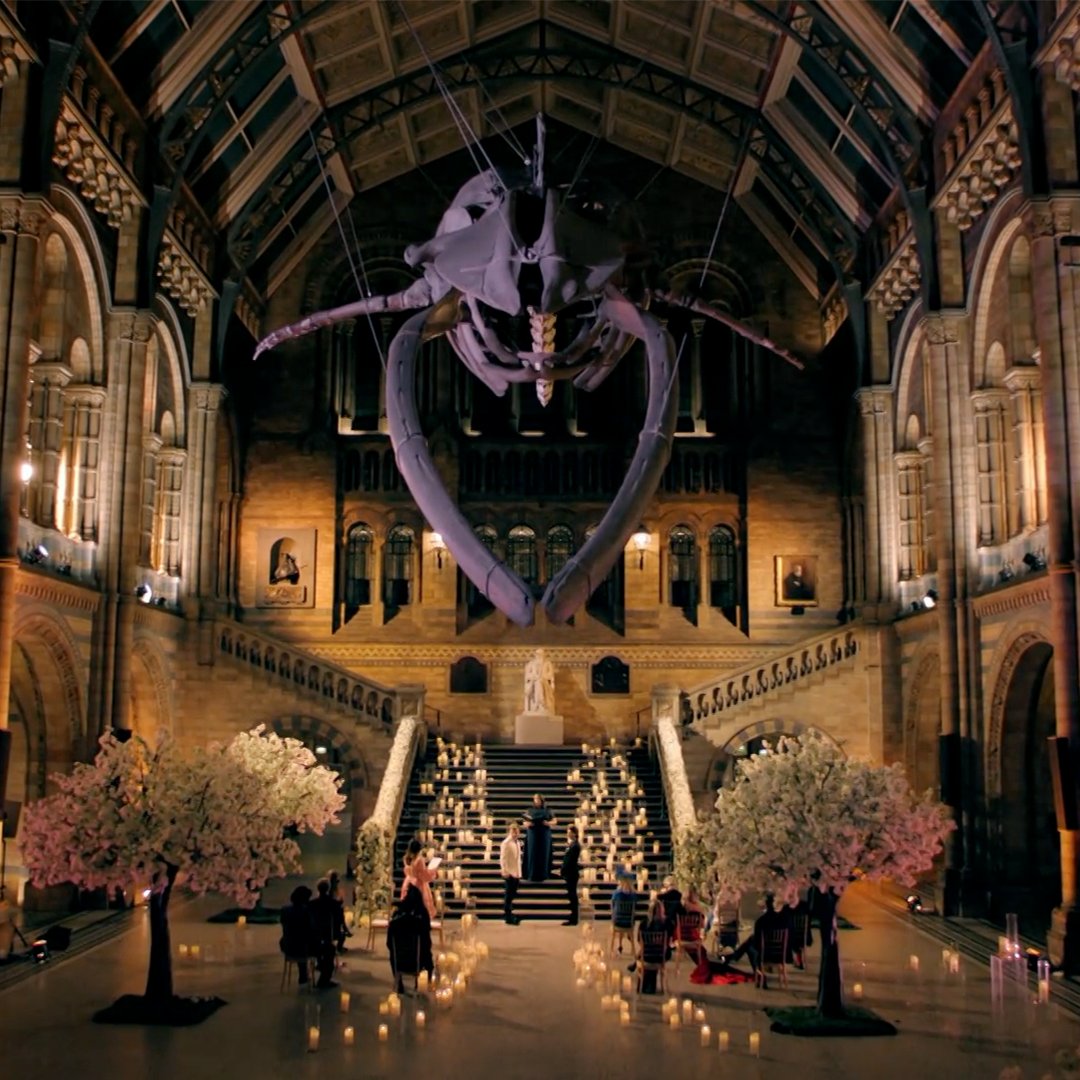 Made in Chelsea (@e4chelsea) on Twitter photo If he really wanted you he would marry you in the Natural History Museum <a href="/garethplocke/">Gareth Locke-Locke</a> <a href="/ollielocke/">Ollie Locke-Locke</a> If he really wanted you he would marry you in the Natural History Museum <a href="/garethplocke/">Gareth Locke-Locke</a> <a href="/ollielocke/">Ollie Locke-Locke</a>
