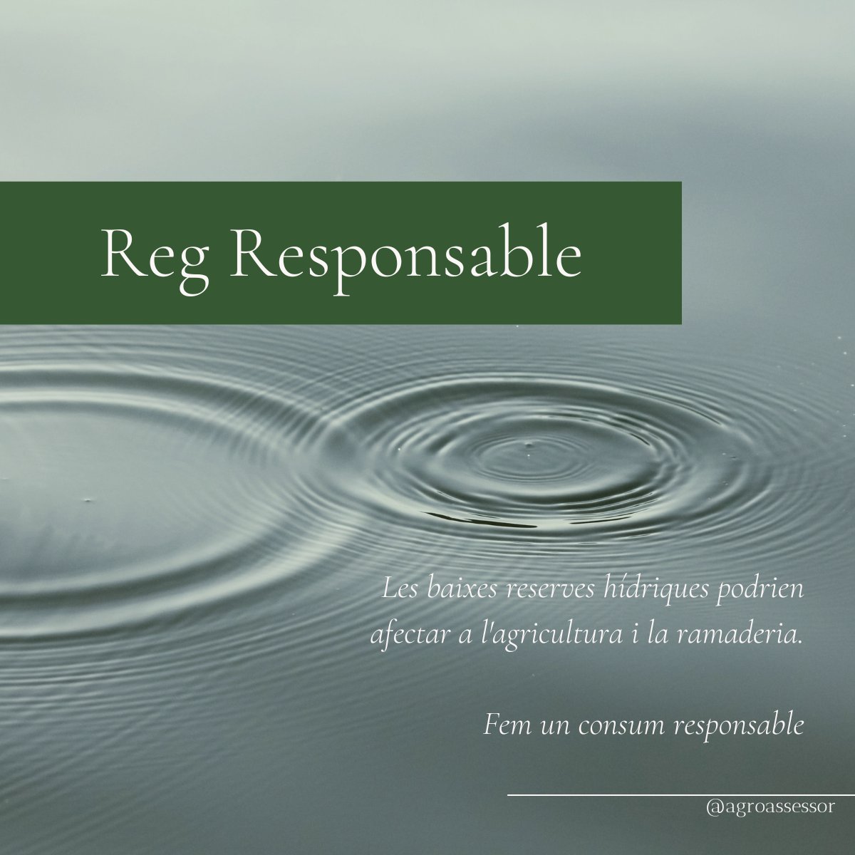 La reserva hídrica 💧arreu del territori està en perill.

La possible dificultat per garantir el subministrament 🚰d'aigua a la població podria tenir conseqüències  a l'agricultura 🥬i ramaderia 🐂.
Nosaltres ja hem establert un protocol per regular el reg dels nostres clients.