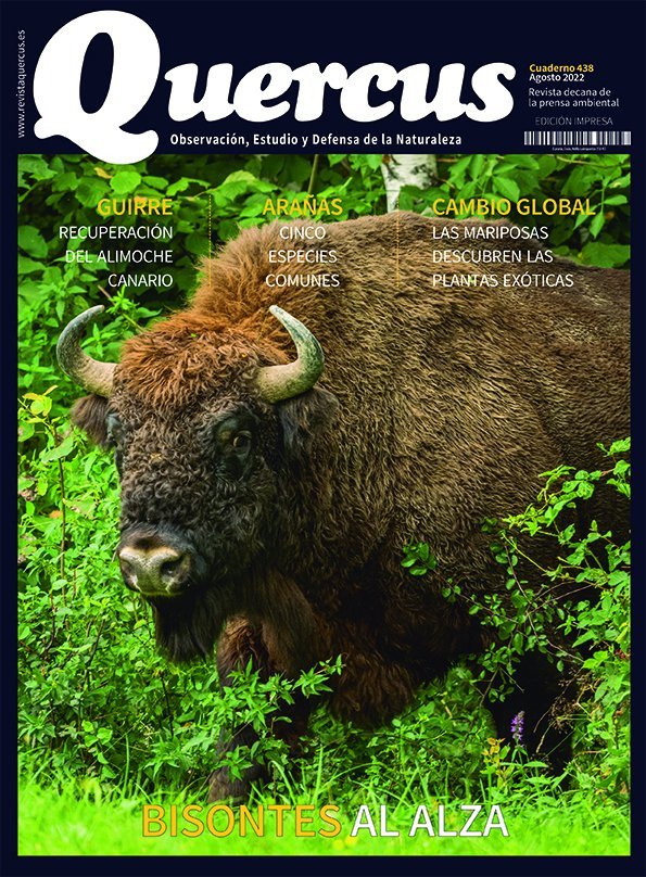 fercfossati's tweet photo. ¡Último día de ciencia antes de las vacaciones! Cierro curso con buenas noticias: salimos hablando de arañas en @RevistaQuercus. Volvemos con más fuerza en septiembre. Hasta entonces, que descanséis. Os leeré encantado a mi vuelta! Correo: fernando.cfossati@urjc.es https://t.co/OhKAevPxBM