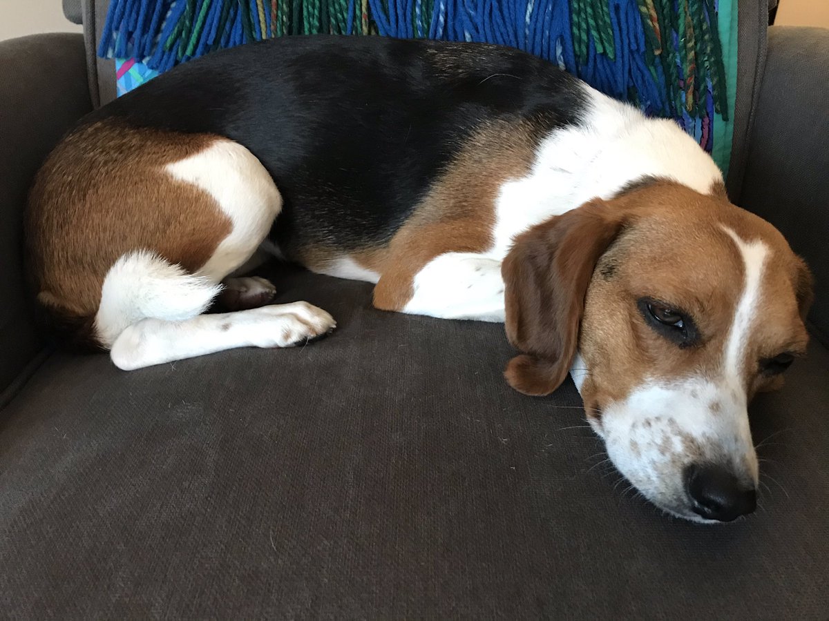 My co-worker this morning is living her best life.