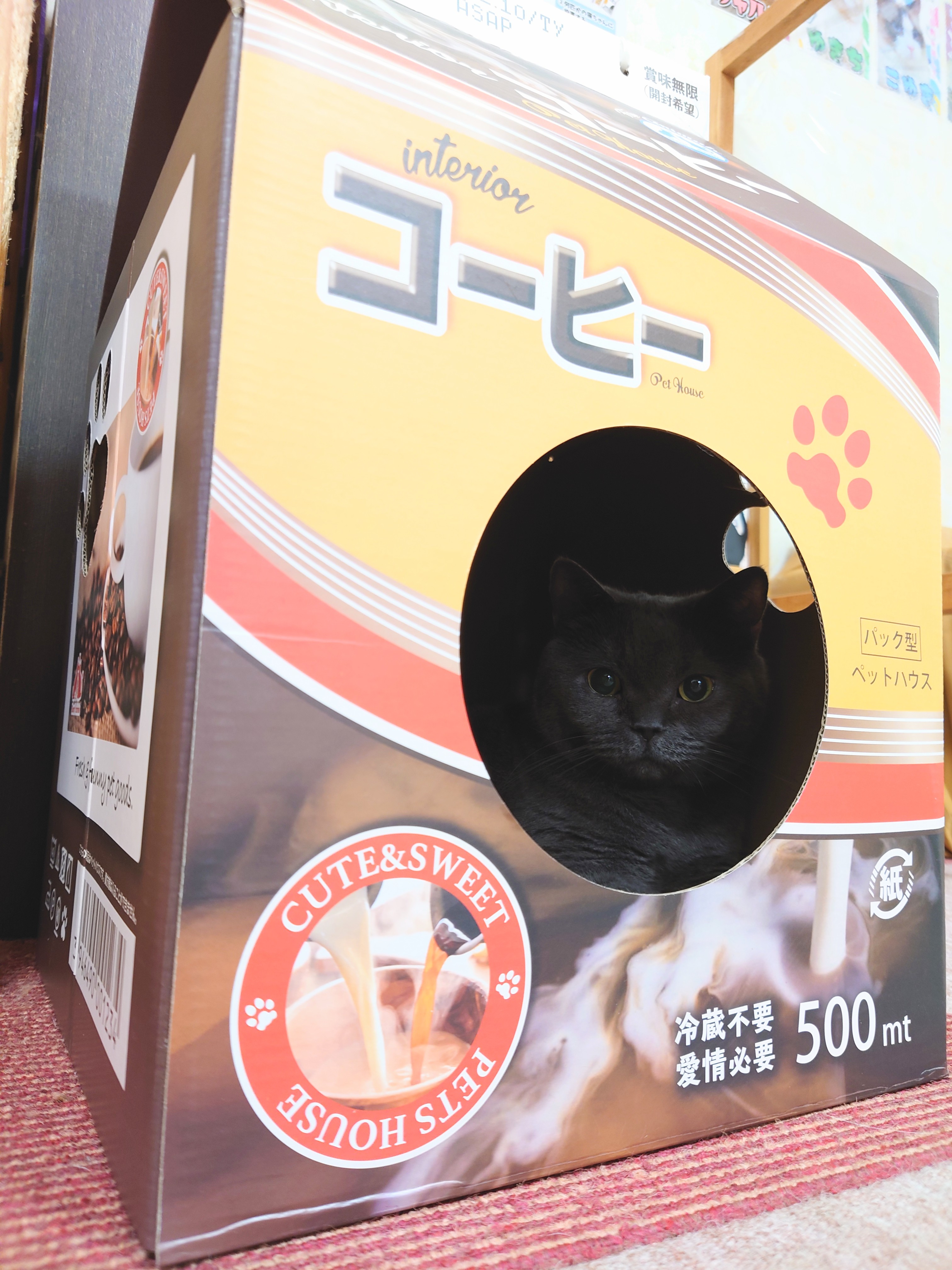 アミューズパーク福島 猫カフェ Kscapf03 Twitter